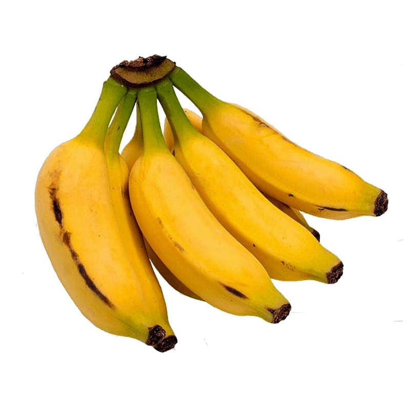 Semi di nano banane Cavendish, Piccolo banana Musa Acuminata  - 2