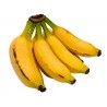 Semi di nano banane Cavendish, Piccolo banana Musa Acuminata