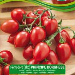 برينسيز بورغس بذور الطماطم  - 1