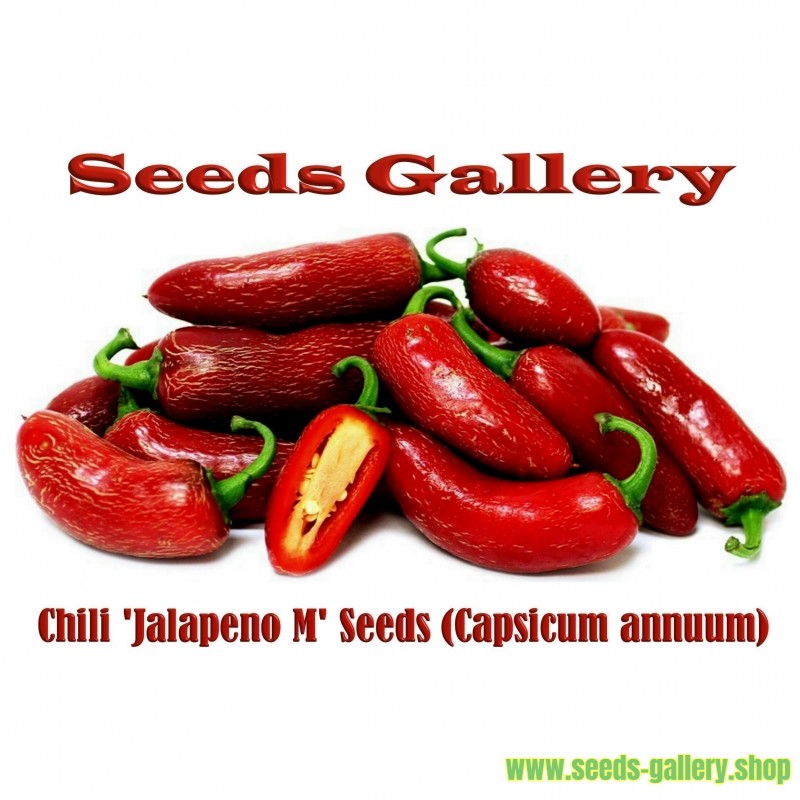 Σπόροι Τσίλι πιπέρι 'Jalapeno Μ' (Capsicum annuum)