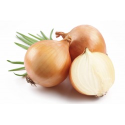 Onion Seeds Kupusinski Jabucar  - 1