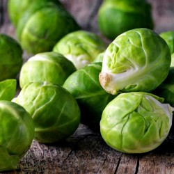 Siberian Early brussel sprouts seeds  - 1