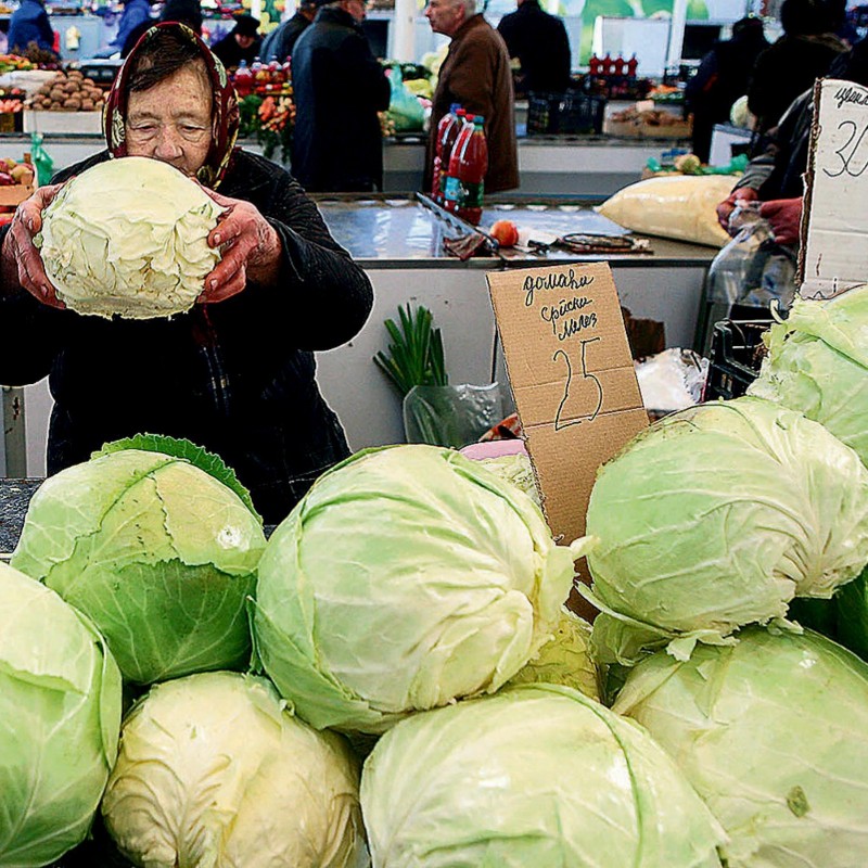 Varazdin cabbage seeds | € 1,95