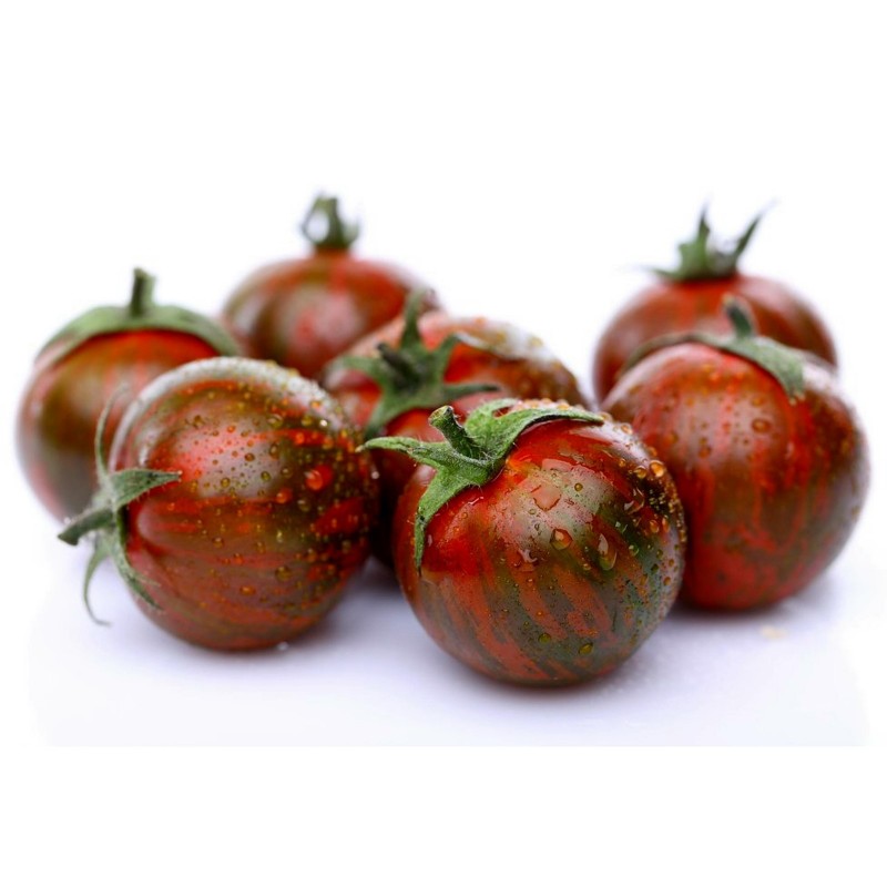 Sementes De Tomate ARTISAN PURPLE BUMBLEBEE Seeds Gallery - 1