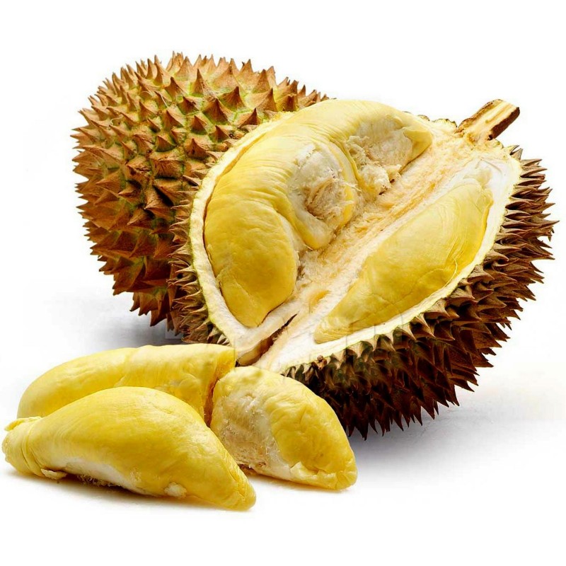 Σπόροι Durian "Ο βασιλιάς των φρούτων" (Durio zibethinus)  - 5