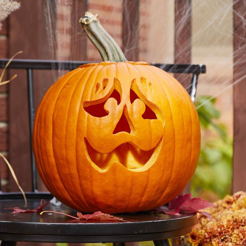 XXL Halloween, Jack’O Lantern Pumpkin Seeds - Price €8.45