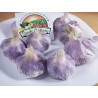 Price: €2.35 - Spicchi d'aglio spagnoli Roja - Seeds Gallery - 3
