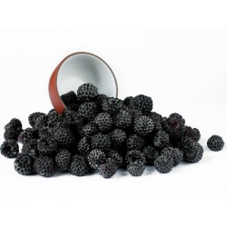 Black Raspberry Seeds...