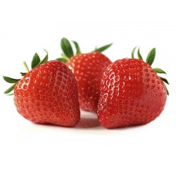 Σπόροι φράουλας Alba