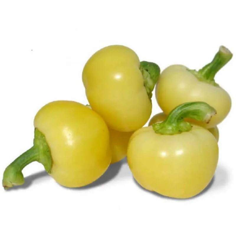 Seme Madjarske paprike Alma