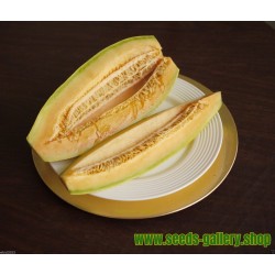 Semillas de banano melón Cantaloupe