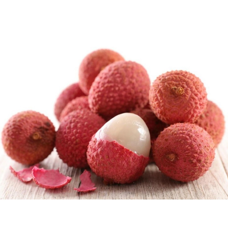 Litschibaum – Litchi Baum Samen (Litchi chinensis) | 3,50 €