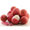 Σπόροι Λυκείο (Litchi chinensis) | 3,50 €