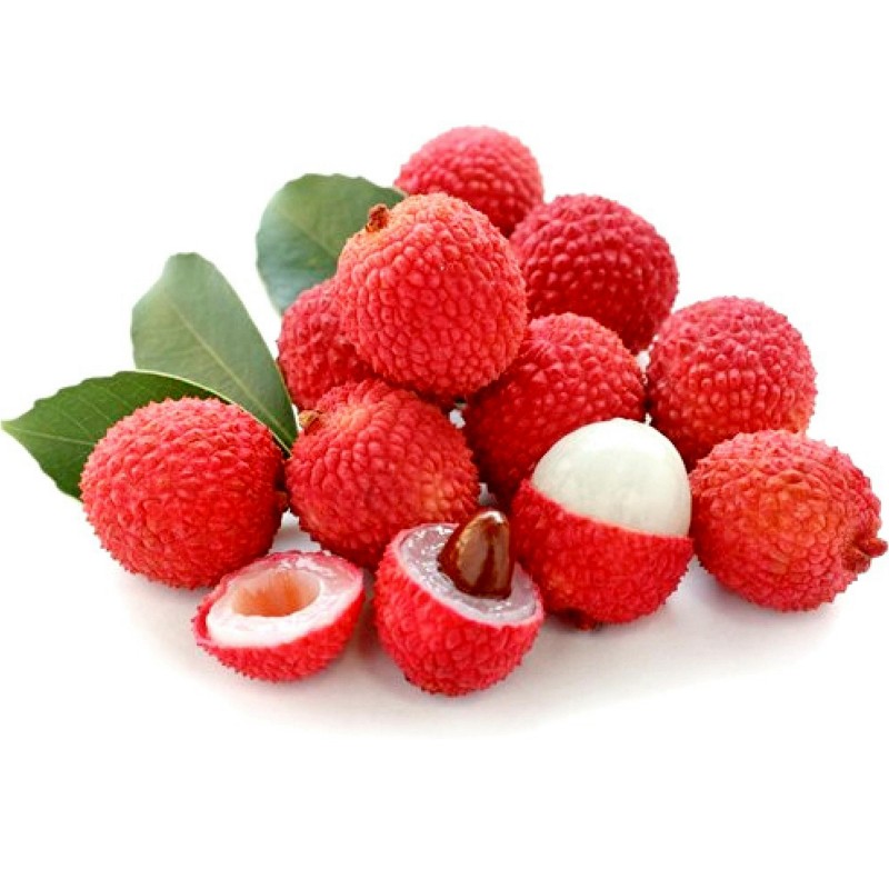 Litschibaum – Litchi Baum Samen (Litchi chinensis) | 3,50 €