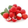 Lychee - Litchi Seeds (Litchi chinensis) | 3,50 €