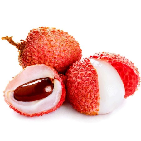Semi di Litchi - Ciliegia della Cina (Litchi chinensis) | 3,50 €