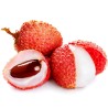 Σπόροι Λυκείο (Litchi chinensis) | 3,50 €