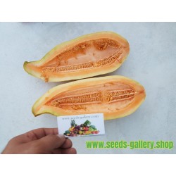 Exotiska Melon Banana frön - Cantaloupe