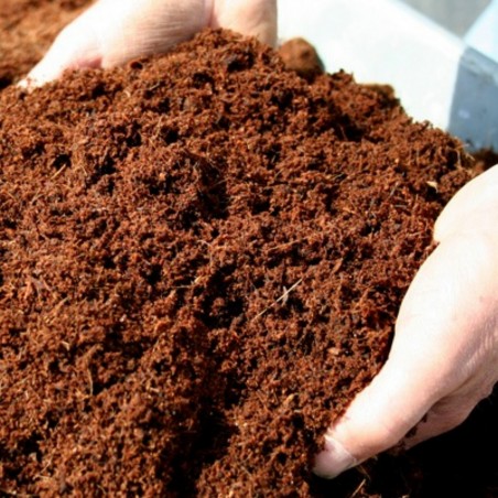 100% Organic Coconut Coir, Coconut Peat, Highest Quality 0,5 liter | 6,00 €